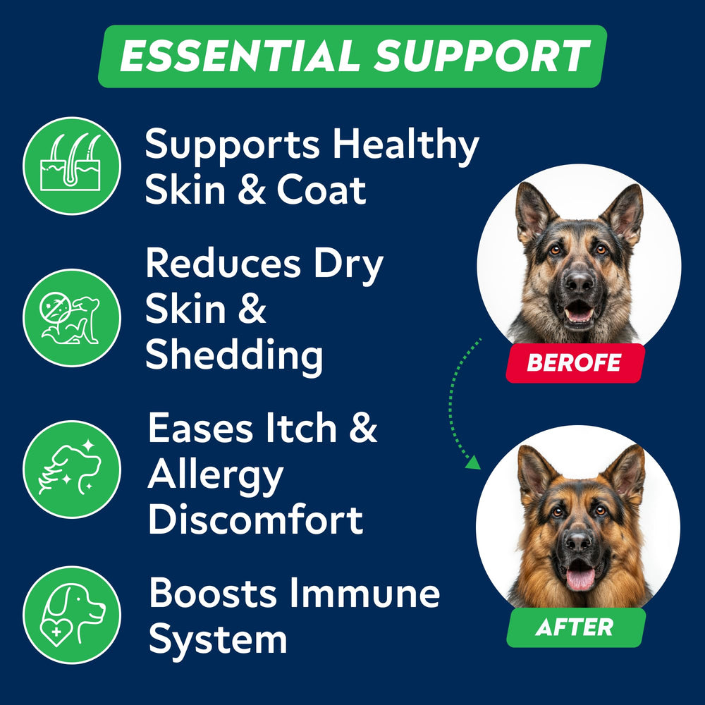 StrellaLab itch relief dog chew shown mid-chew for dry skin relief.