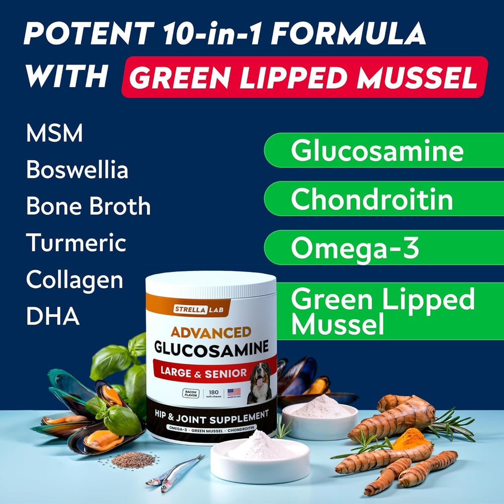 Large-breed dog in motion using STRELLALAB joint support supplement