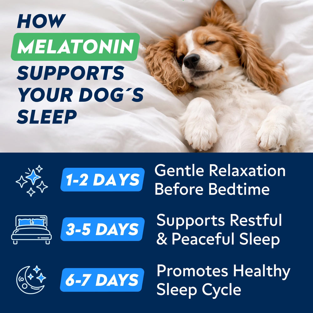 STRELLALAB large dog sleep aid designed to help big breeds wind down.