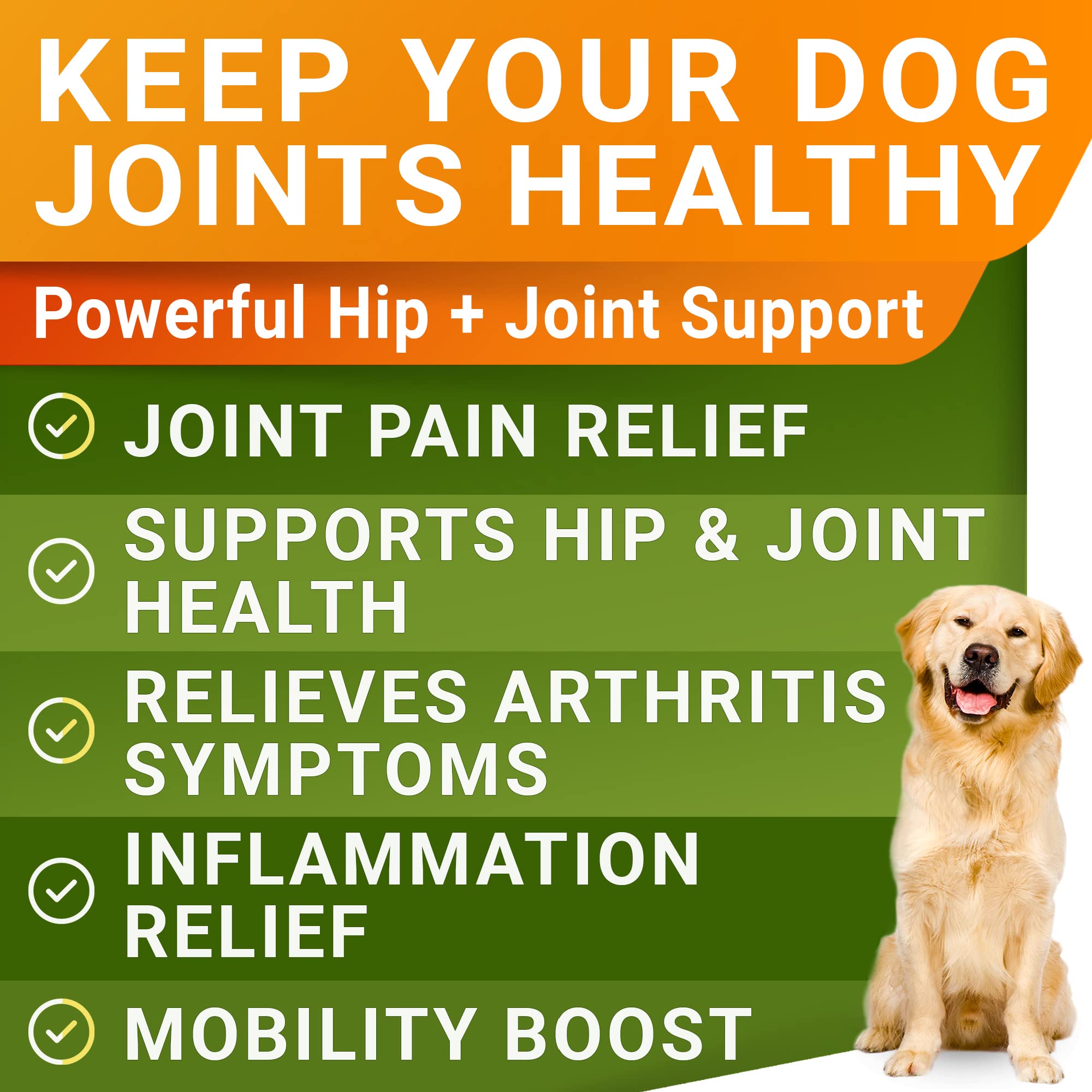 STRELLALAB glucosamine pour stream supports mobility in dogs