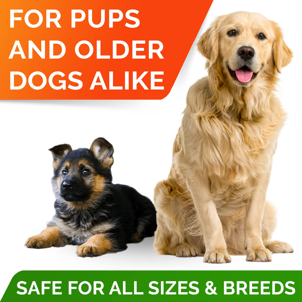 StrellaLab Omega3 dog chews on a kitchen shelf for daily convenience.