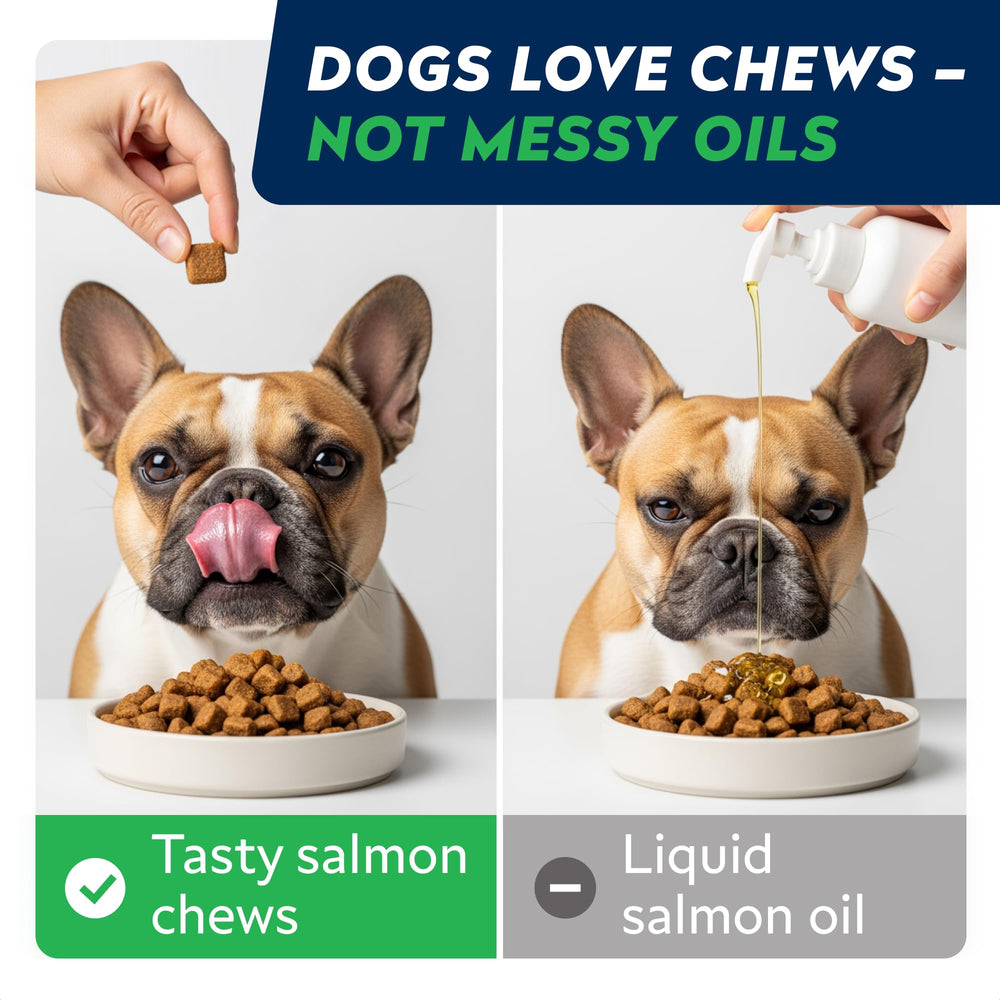 STRELLALAB Omega-3 dog chews aiding joint health and mobility