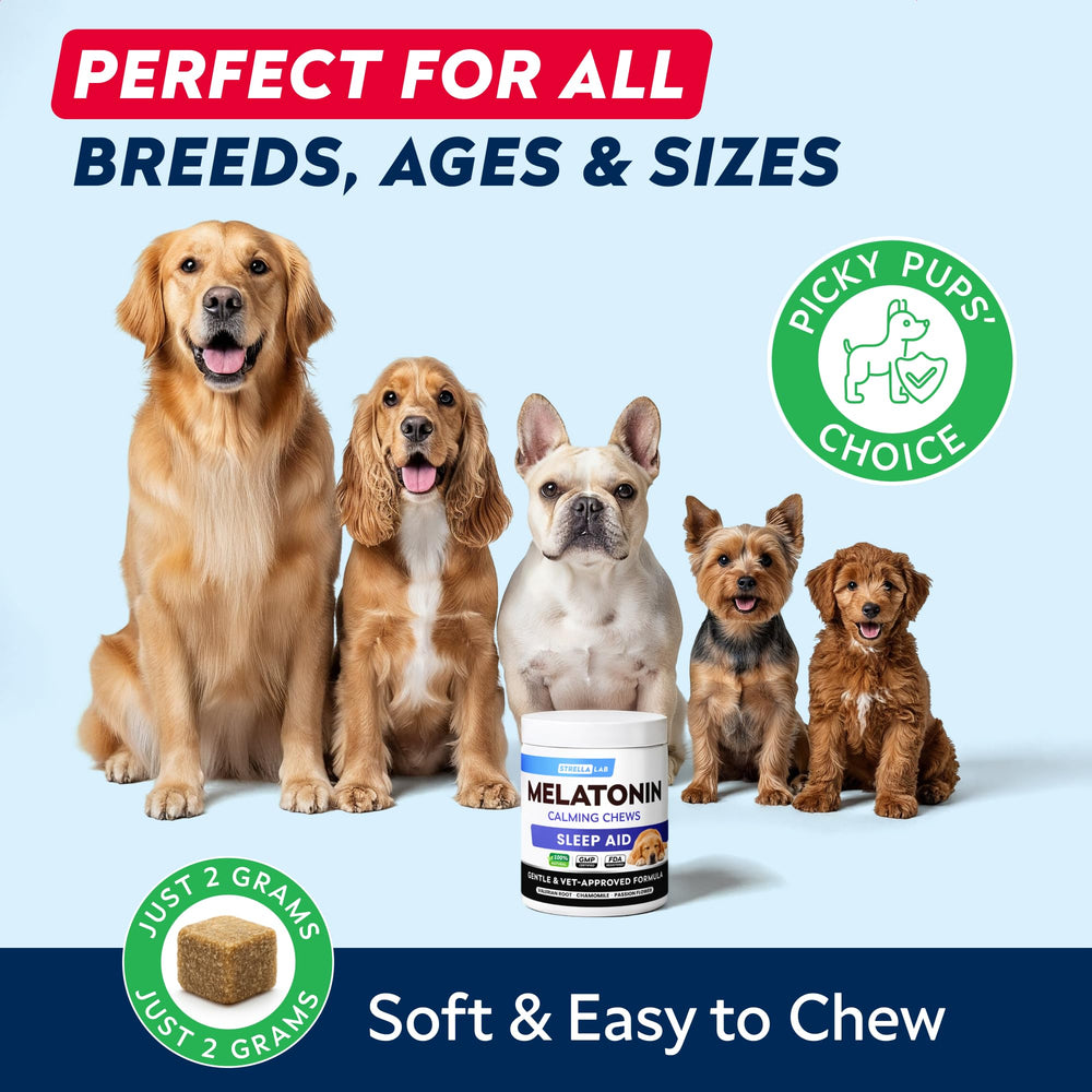 STRELLALAB puppy dog sleep chews gentle introduction to evening routine.