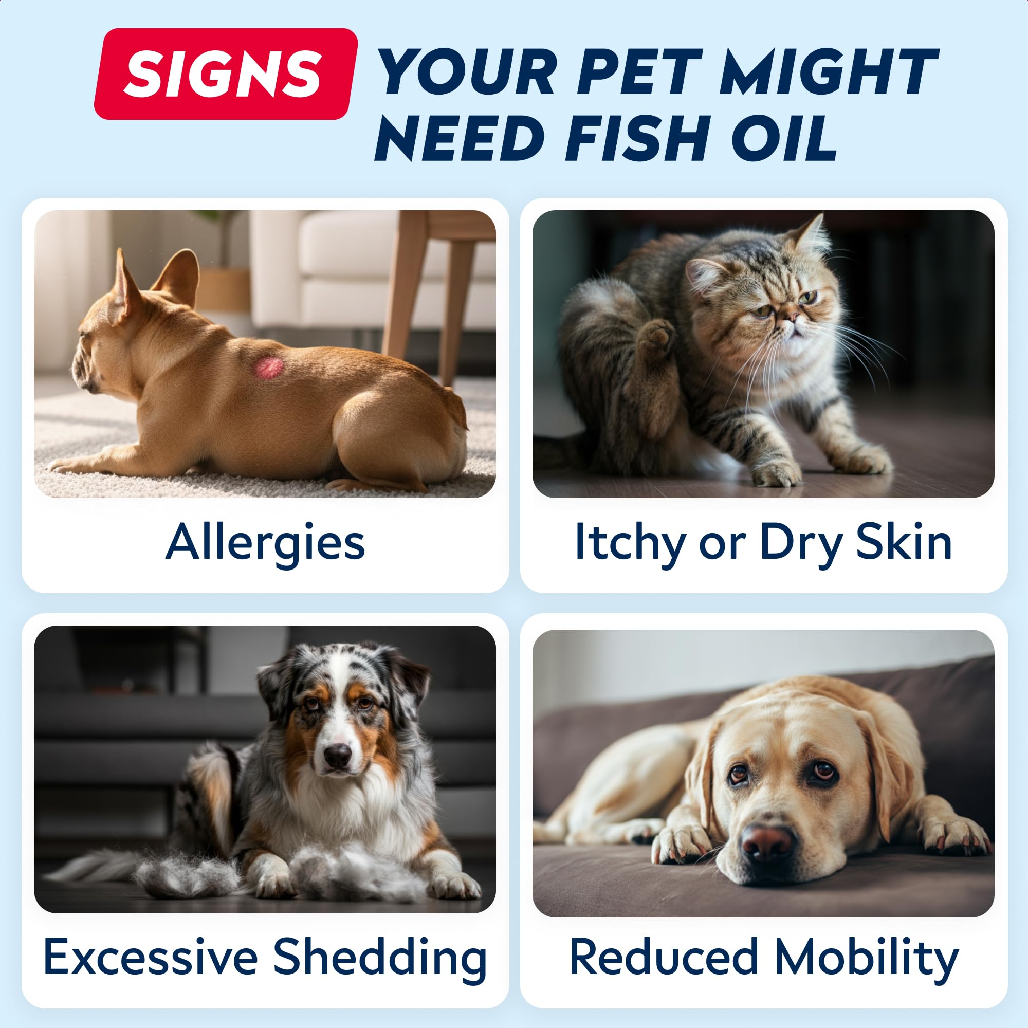 Strellalab bottle on shelf communicates US-made safety and trust for pet owners.