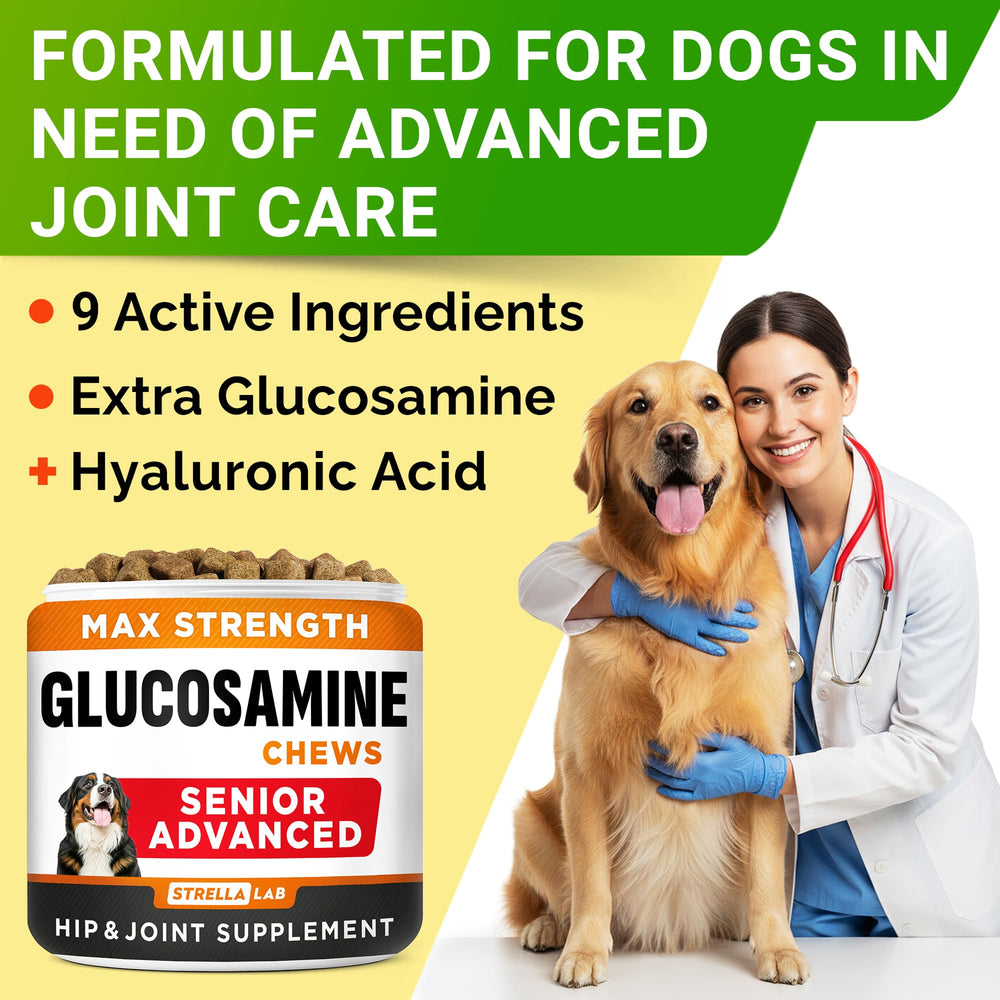 STRELLALAB Senior chicken-flavor dog treats: palatable daily support for older dogs.