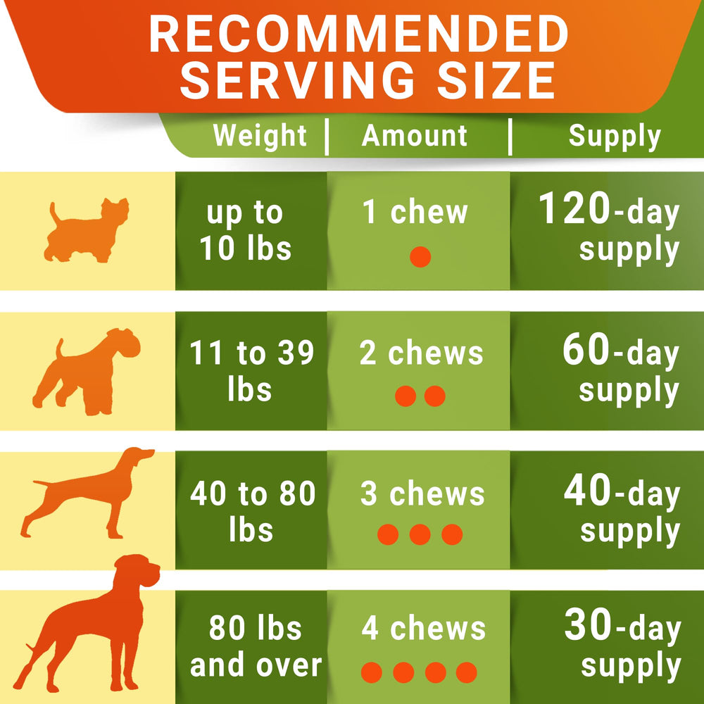 STRELLALAB senior dog feet movement boost supports daily activity.