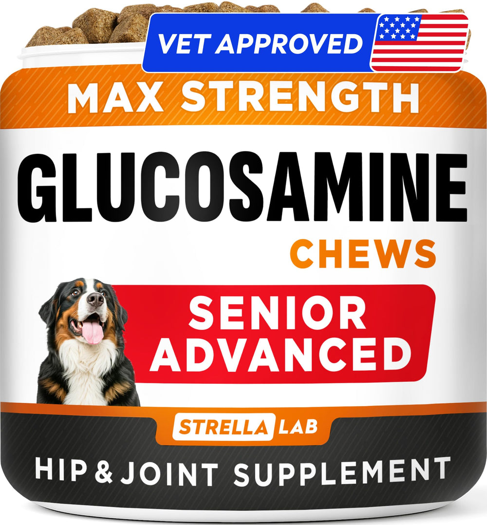 STRELLALAB senior joint supplement bottle label highlights quality for aging dogs' mobility support.