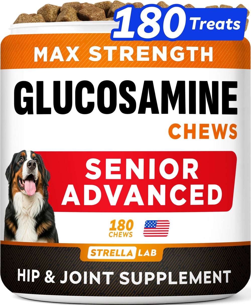 STRELLALAB senior glucosamine bottle pour supports aging dogs mobility
