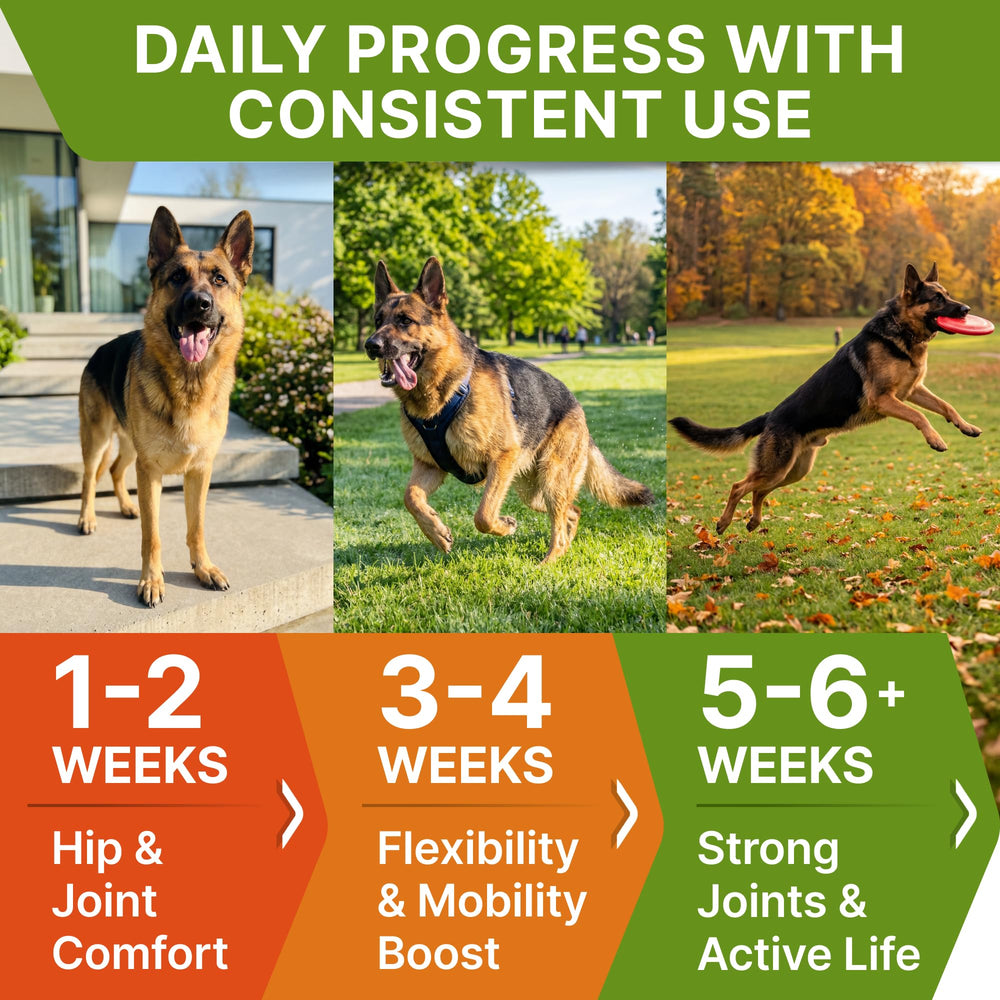 STRELLALAB senior chews suitable for large and small breeds.