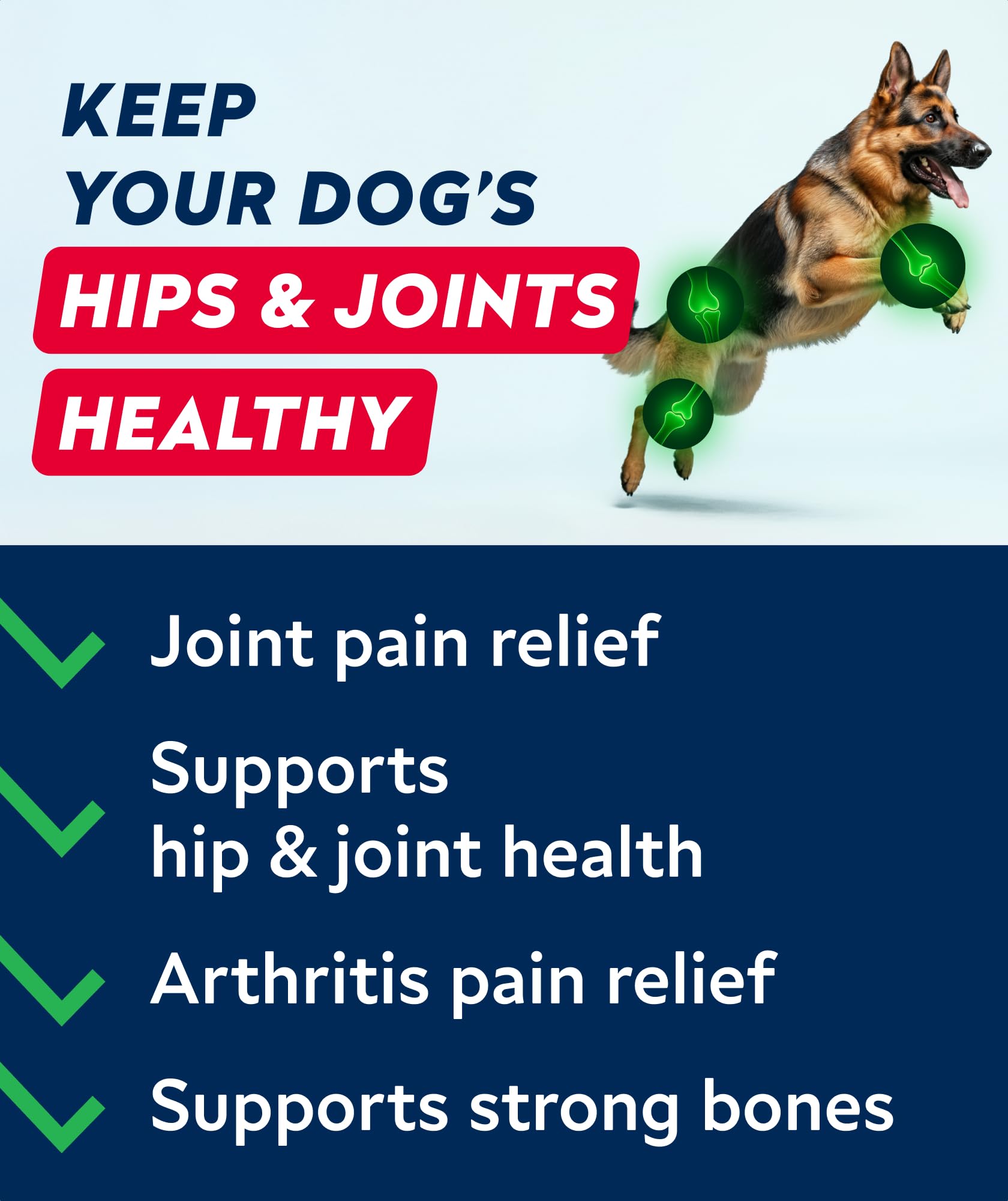 STRELLALAB soft chew dog treats with peanut butter for easy daily joint care.