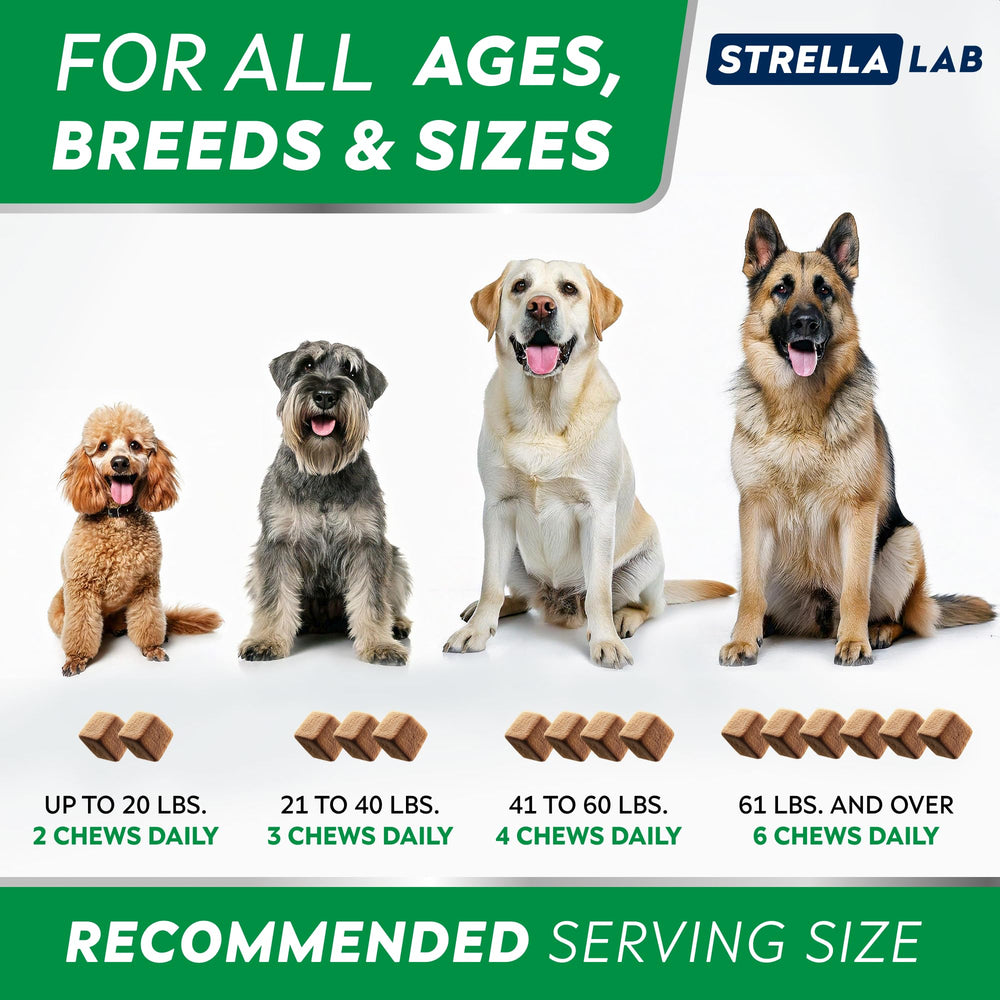 StrellaLab Subscribe & Save image promoting ongoing canine wellness.