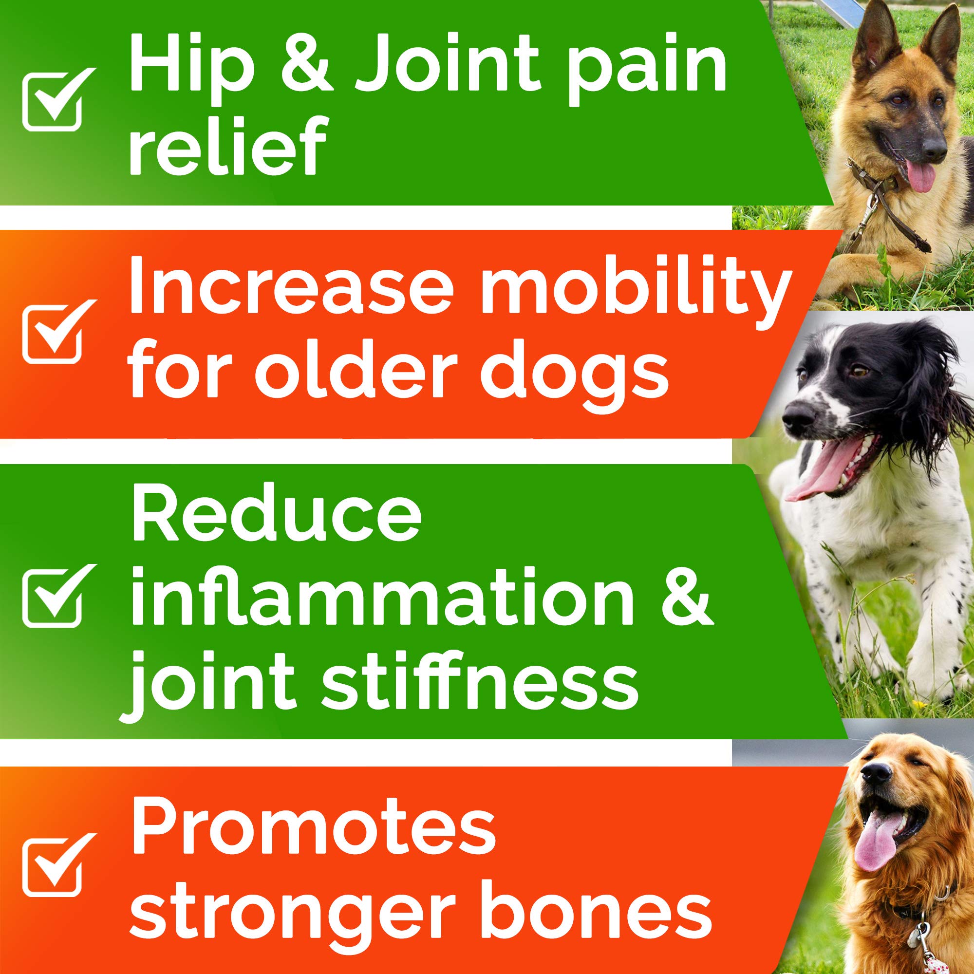STRELLALAB turmeric dog treat highlighting natural ingredients for wellness.