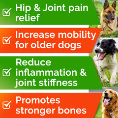 STRELLALAB turmeric dog treat highlighting natural ingredients for wellness.