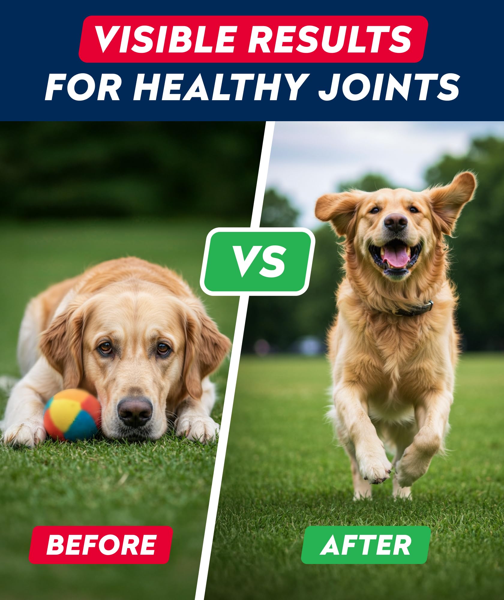 A dog enjoys a STRELLALAB chew during training or play.