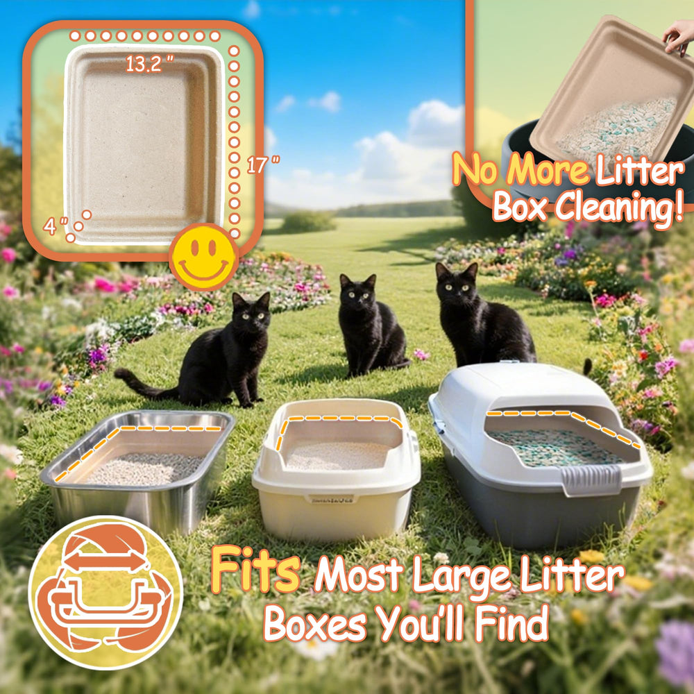 Strenthychosing easy cleanup promotes quick disposal after use