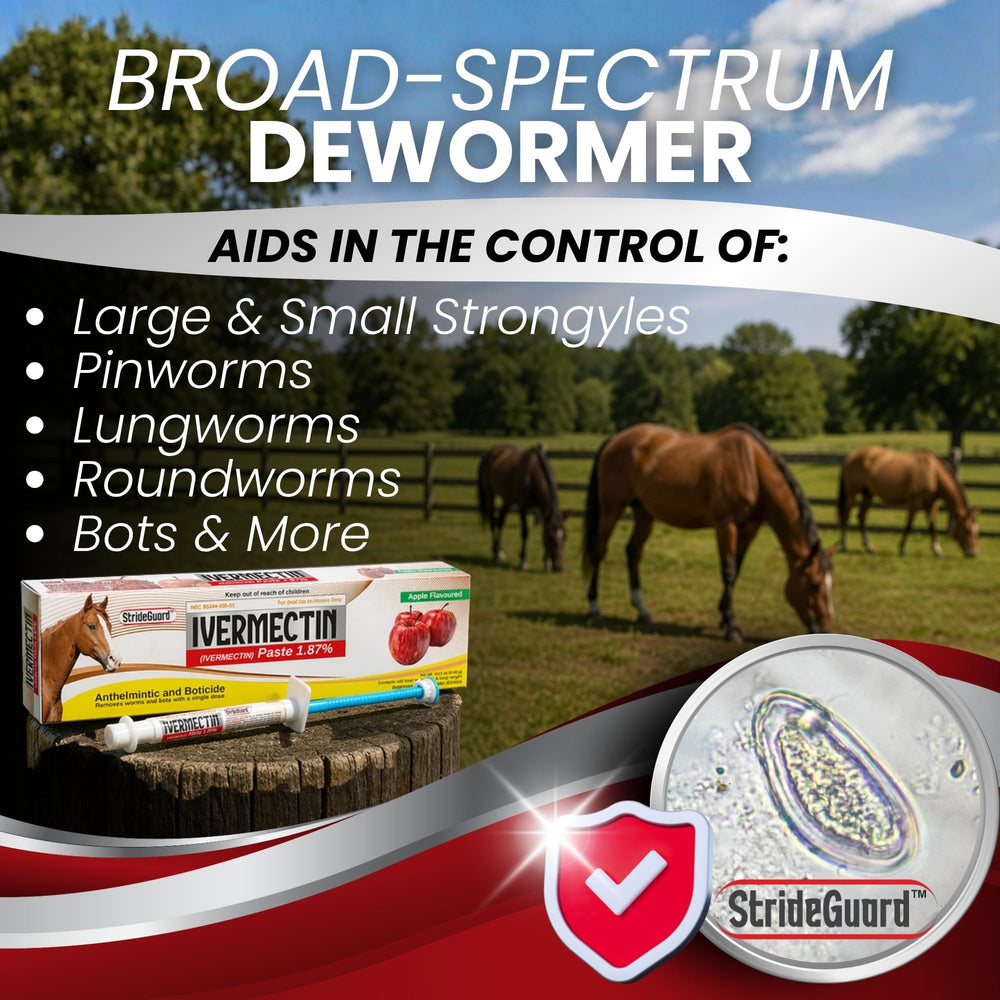 StrideGuard quality manufacturing standards ensure safety and reliability.
