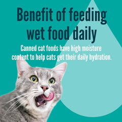 Moist gravy from Strongheart shreds supports hydration during feeding