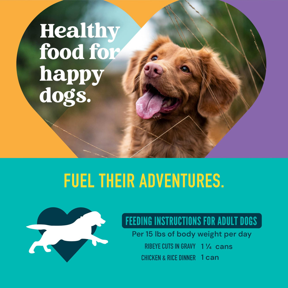Strongheart feeding dog variety pack scene to imply value and choice.