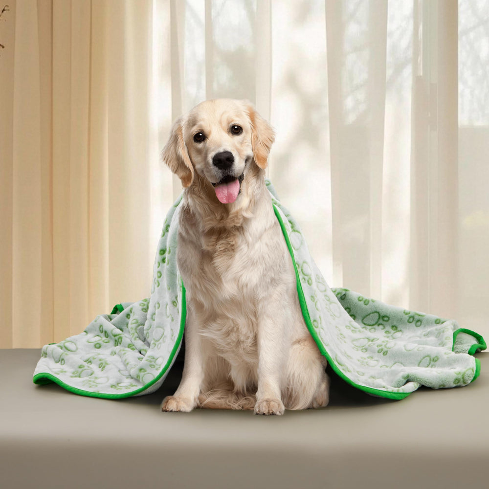 Stuffed green back dog blanket with paw design for warmth