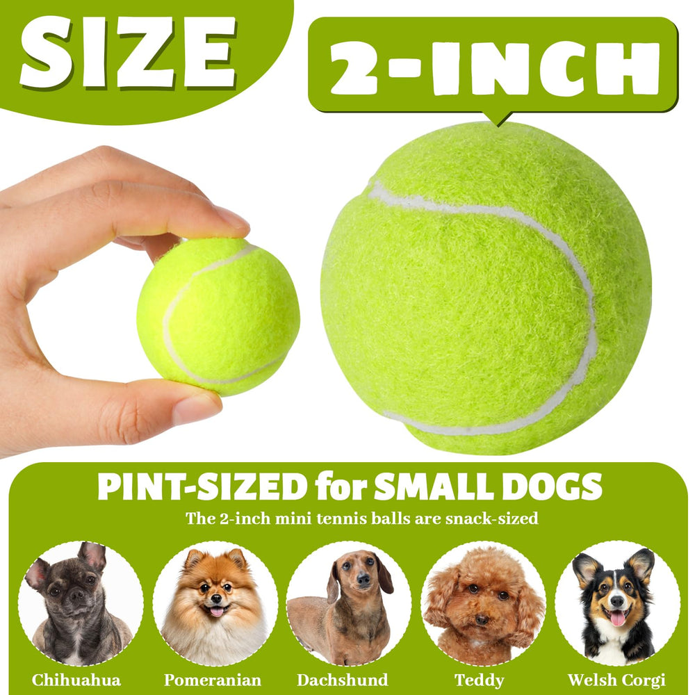 StyEdEk 2-inch dog tennis balls in bright colors for high visibility.