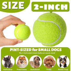 StyEdEk 2-inch dog tennis balls in bright colors for high visibility.