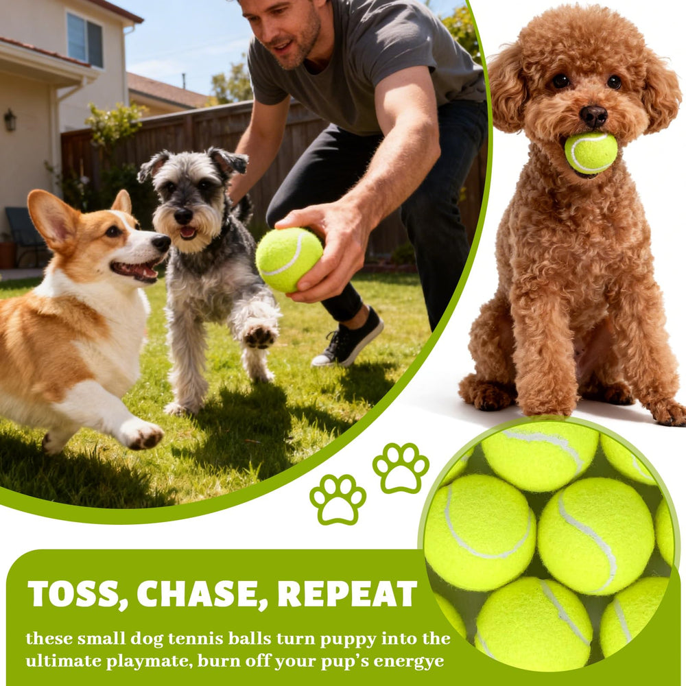 StyEdEk bright colors improve visibility during fetch sessions.