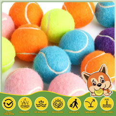 StyEdEk bright color dog tennis ball set keeps playtime easy to spot during yard and park sessions.