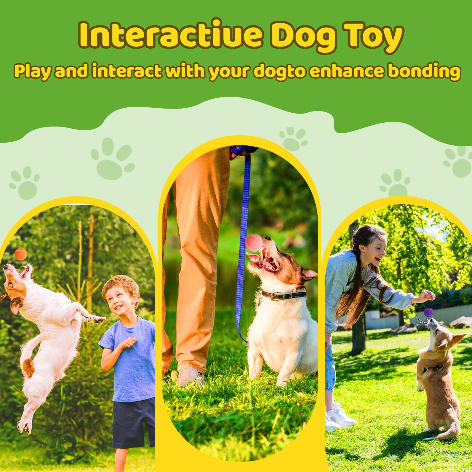StyEdEk dog toy is versatile for indoor rooms or outdoor lawns and beaches.