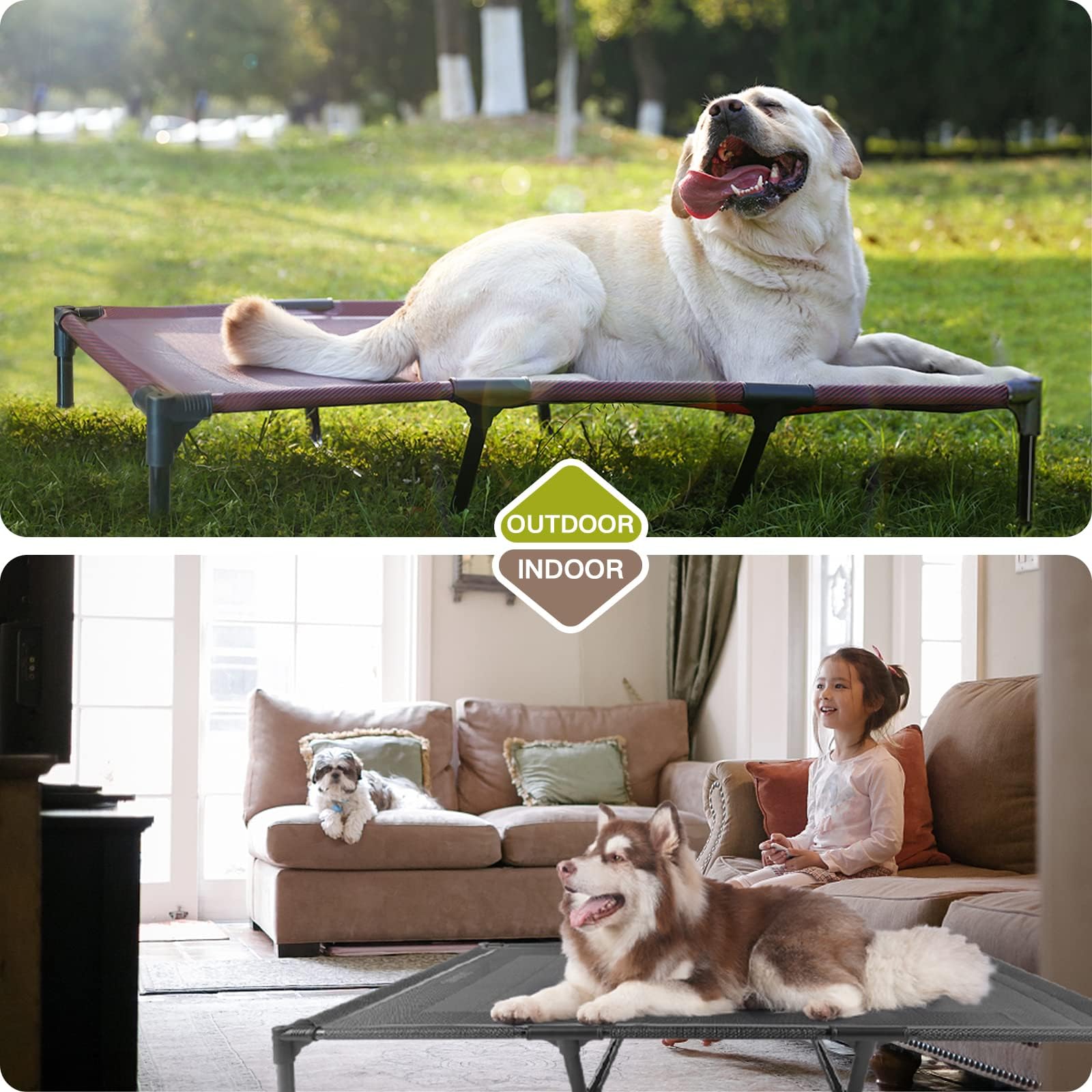 Suddus detachable and portable elevated bed for travel and storage.