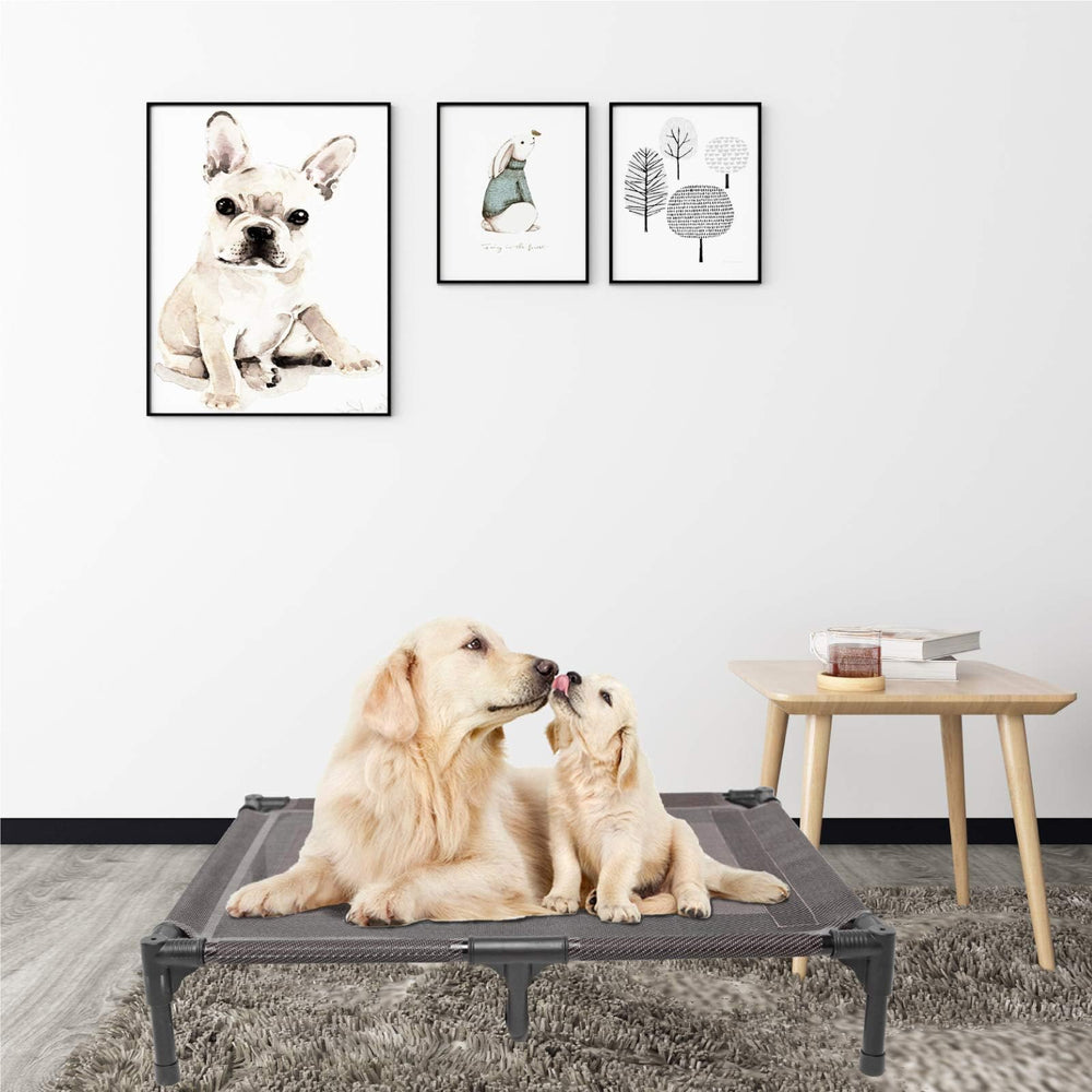 suddus elevated dog bed helps campers keep spaces clean