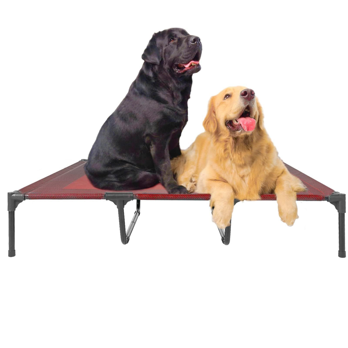 Suddus elevated dog bed outdoors with raised frame and cooling airflow.