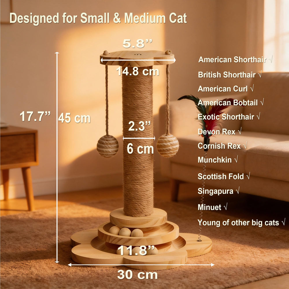 Sudehfei movable balls engage cats during play with an interactive track.