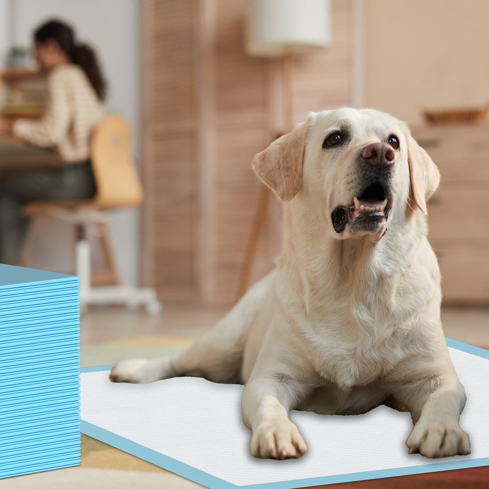 SUGUNING puppy pads quick-dry surface helps paws stay clean and dry.
