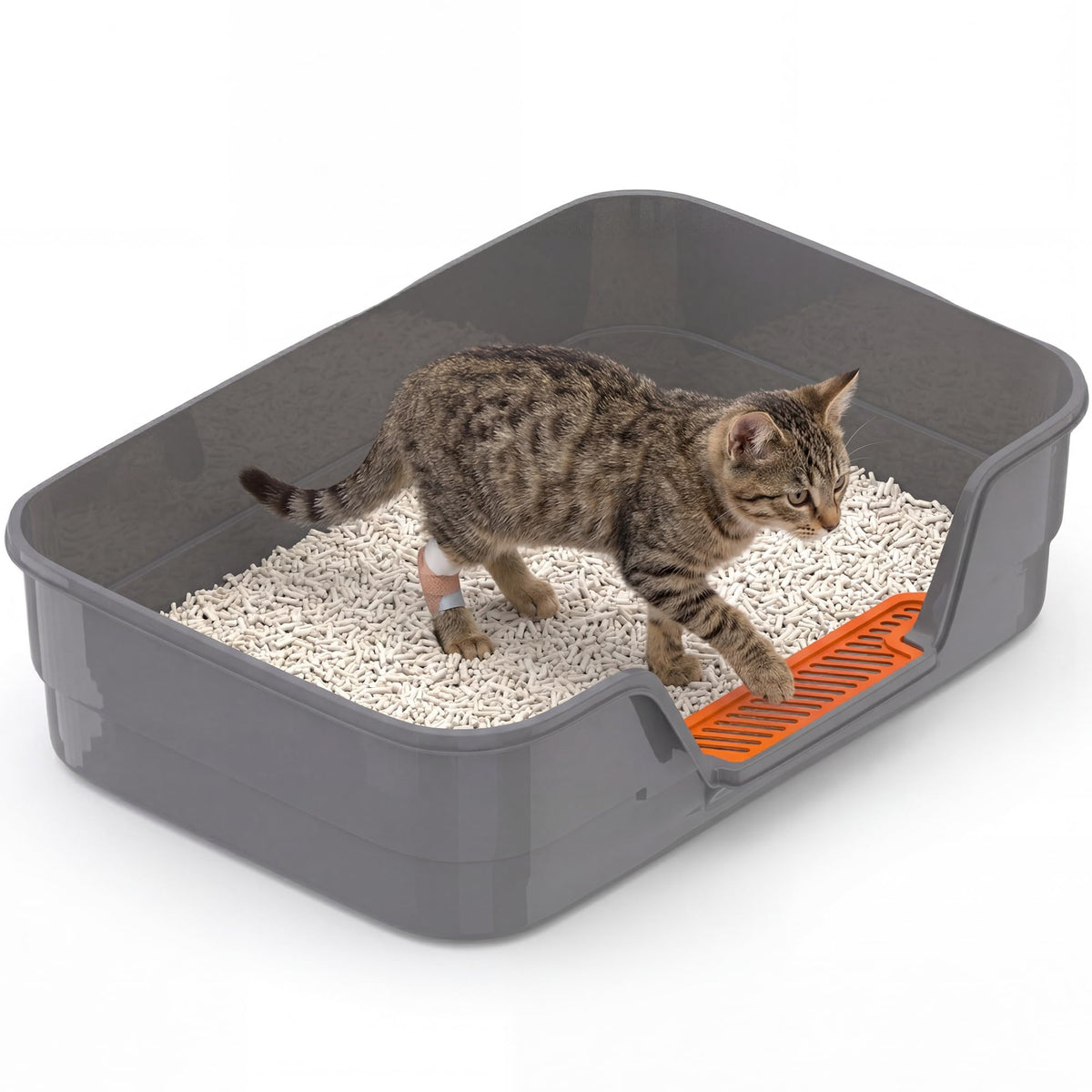 Suhaco low-entry litter box exterior view showing spacious interior for large cats.