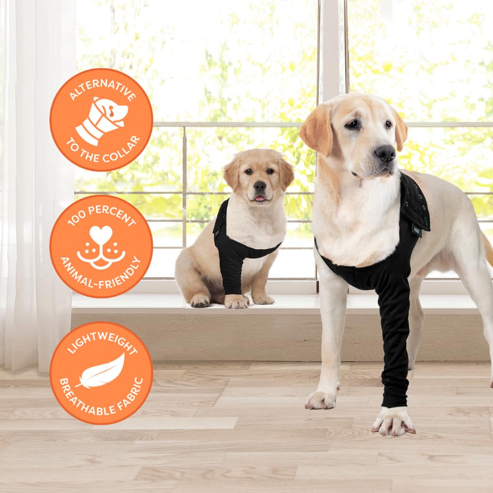 Black medium sleeve on a resting dog demonstrates durable, reusable design.
