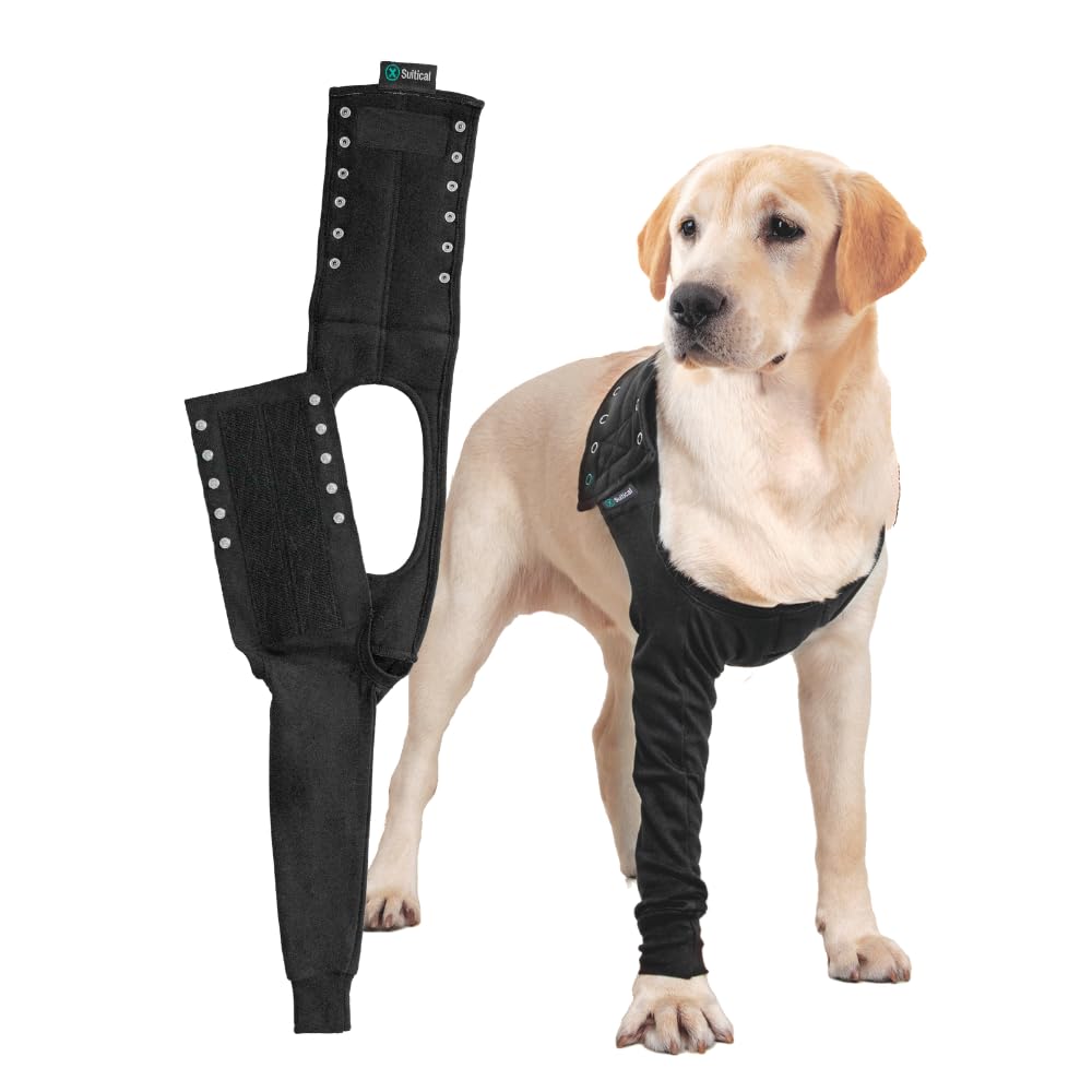 Suitical Recovery Sleeve on a dog's front leg protects wounds during recovery.