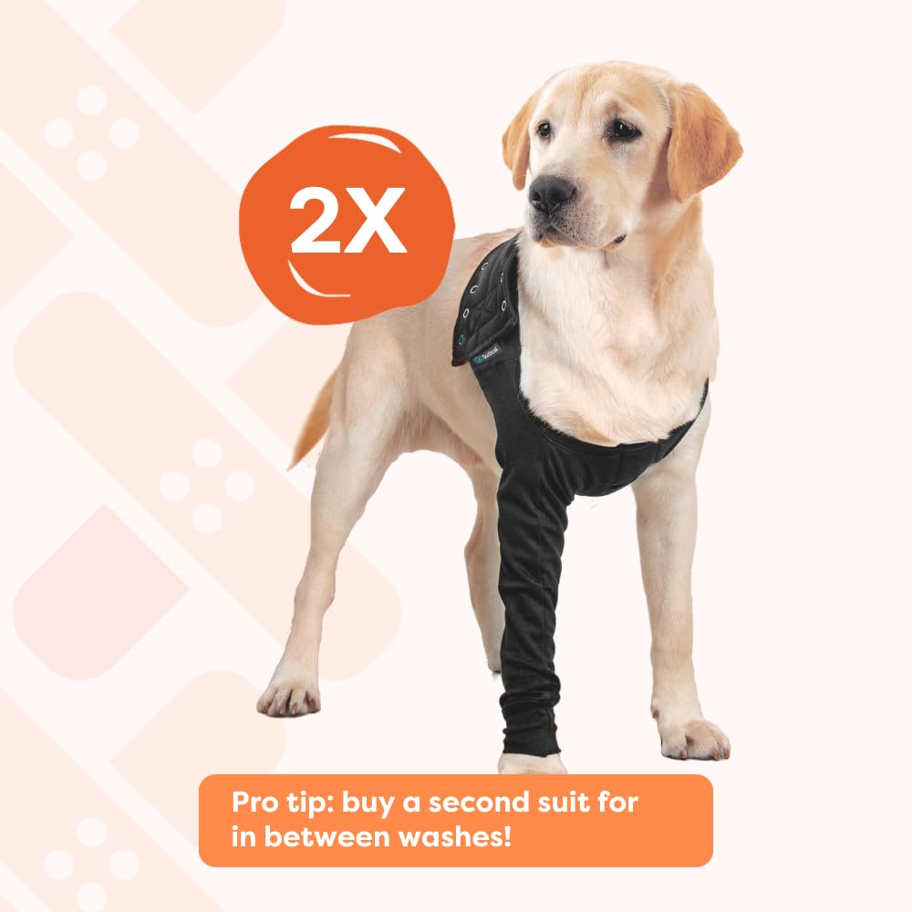 Suitical Recovery Sleeve designed by experts for dogs