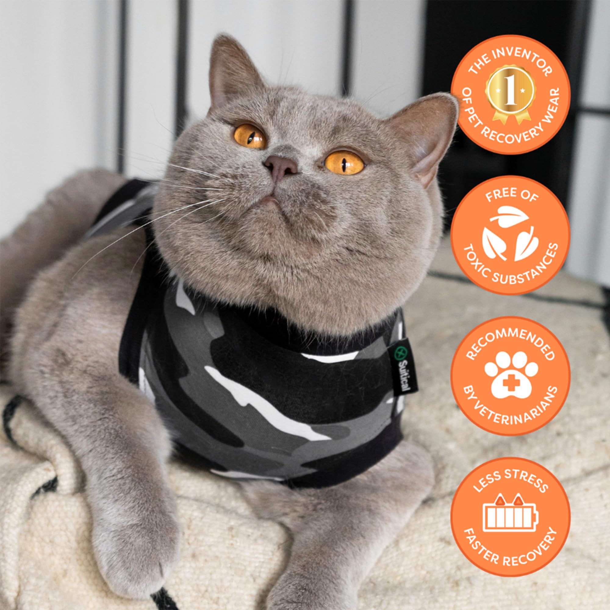 Suitical Recovery Suit cat litter-use compatible for convenient recovery at home.