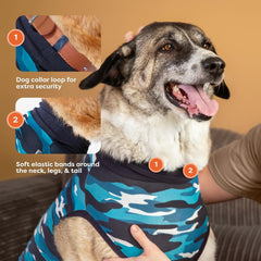 Back view of Suitical Recovery Suit on a dog, torso coverage visible