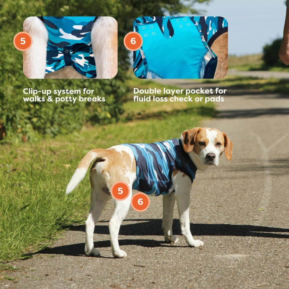 Close fit of Suitical Recovery Suit acting as second skin for a large dog