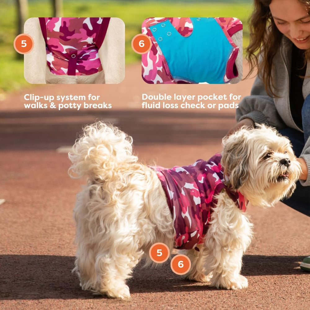 Dog in Suitical Recovery Suit after surgery