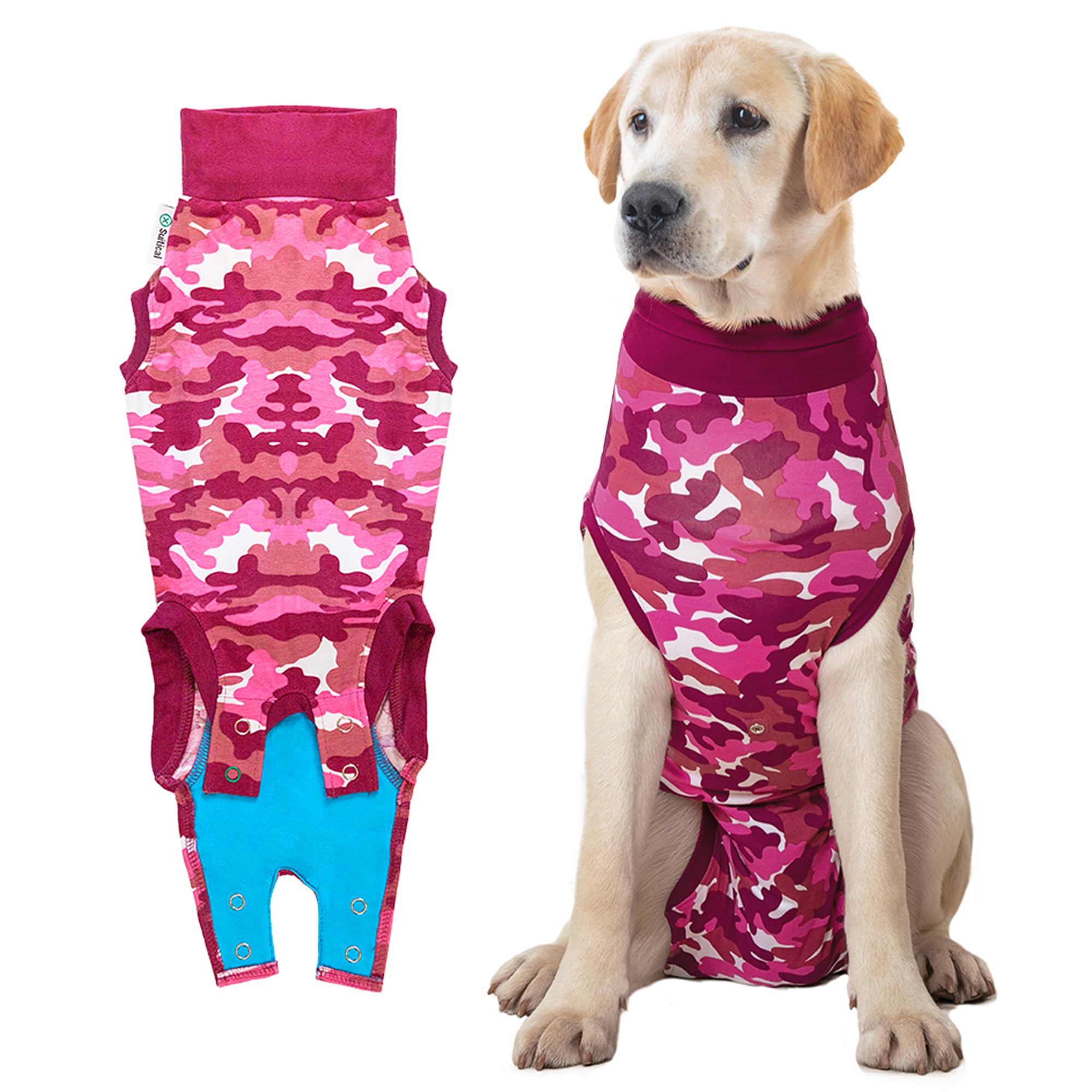 Suitical Recovery Suit for dogs protects wounds and bandages after surgery.