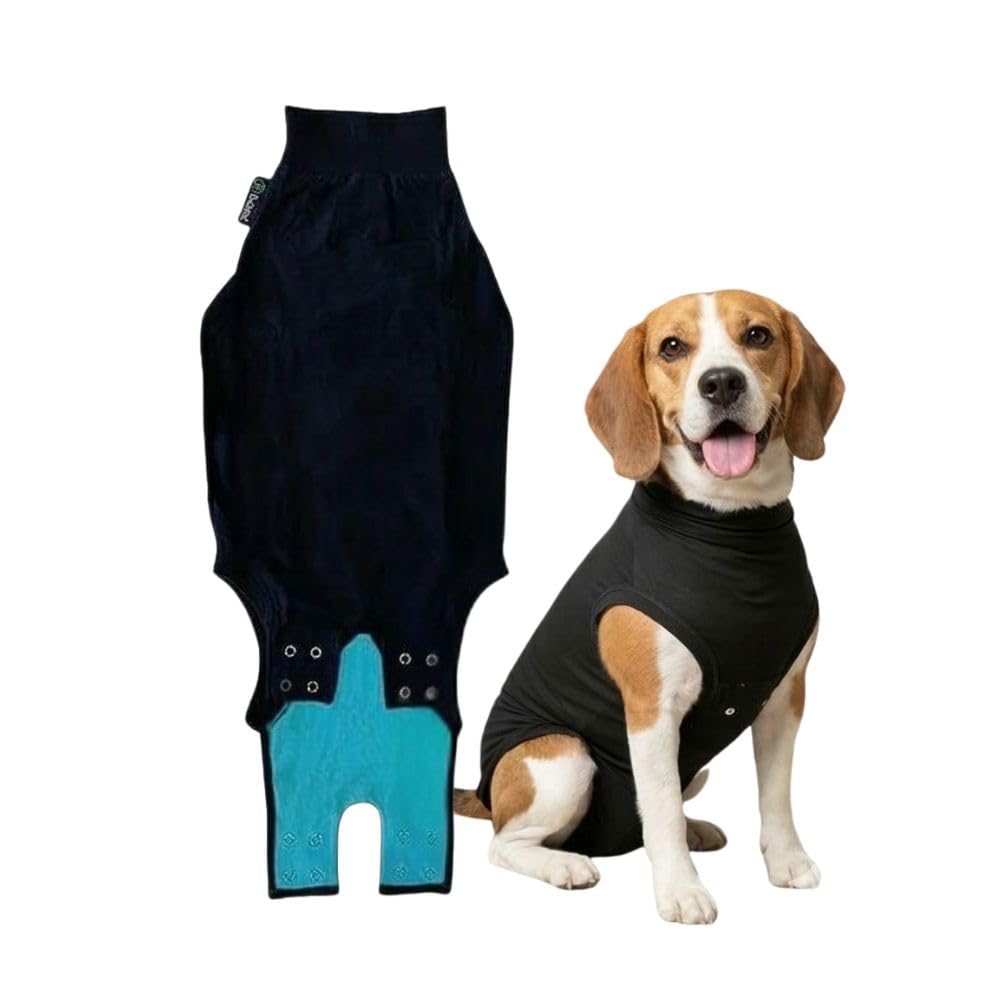 Suitical Recovery Suit on a dog's back view offering full coverage and breathable comfort.