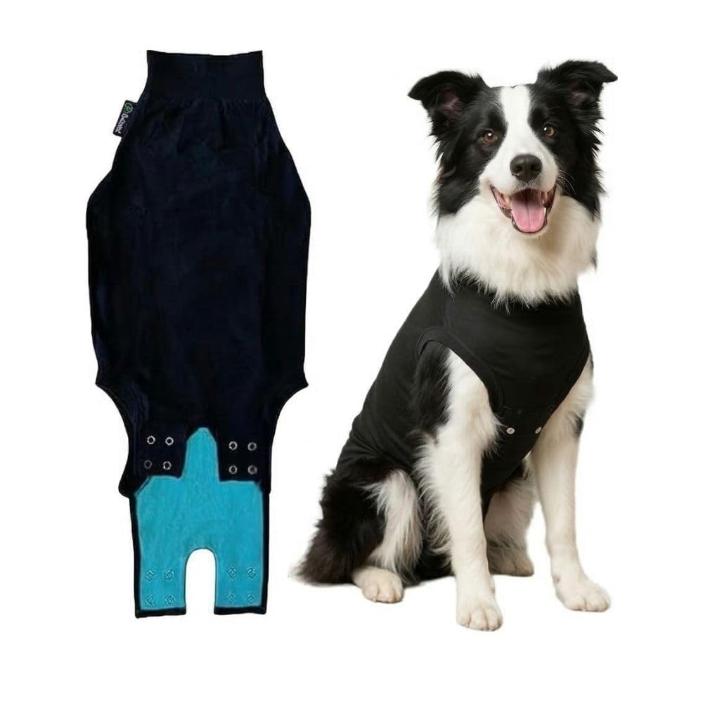 Suitical recovery suit for dogs with breathable cotton-lycra fabric for comfort.
