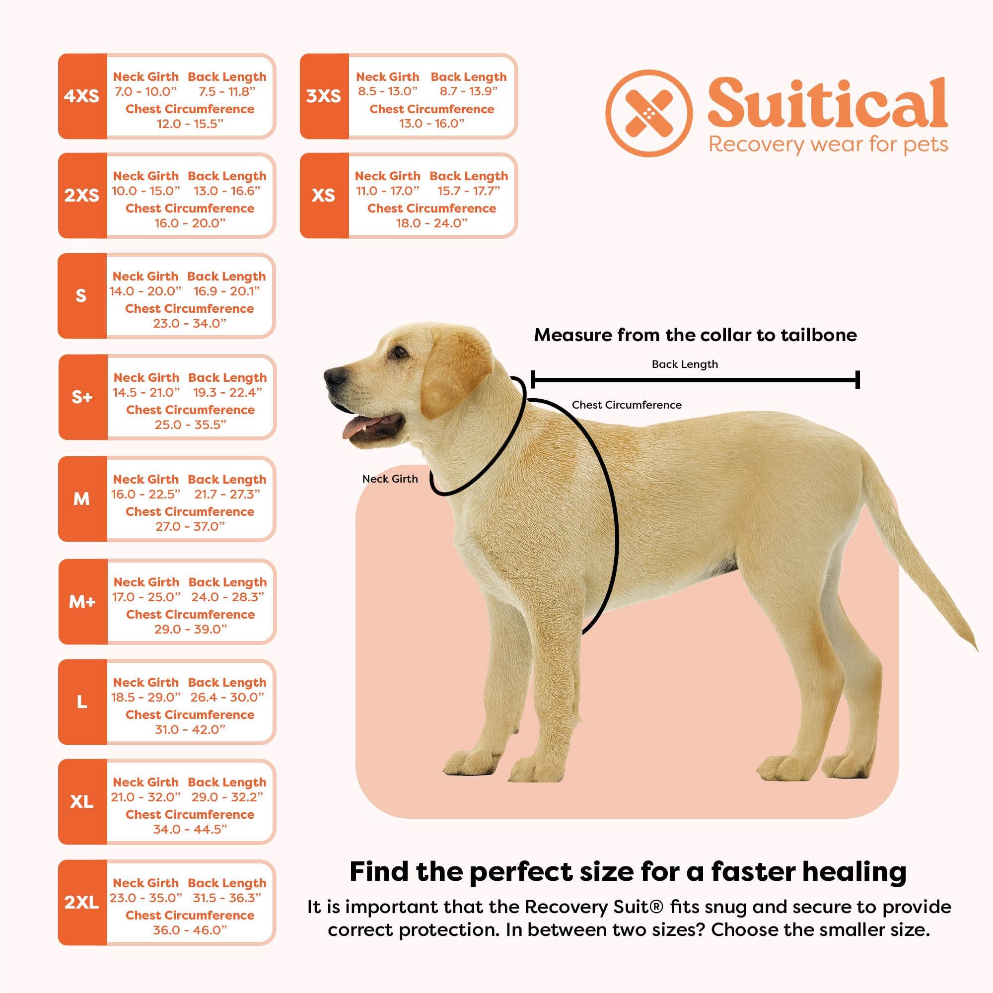 Suitical recovery suit for dogs with elastic neck and leg bands for snug fit.