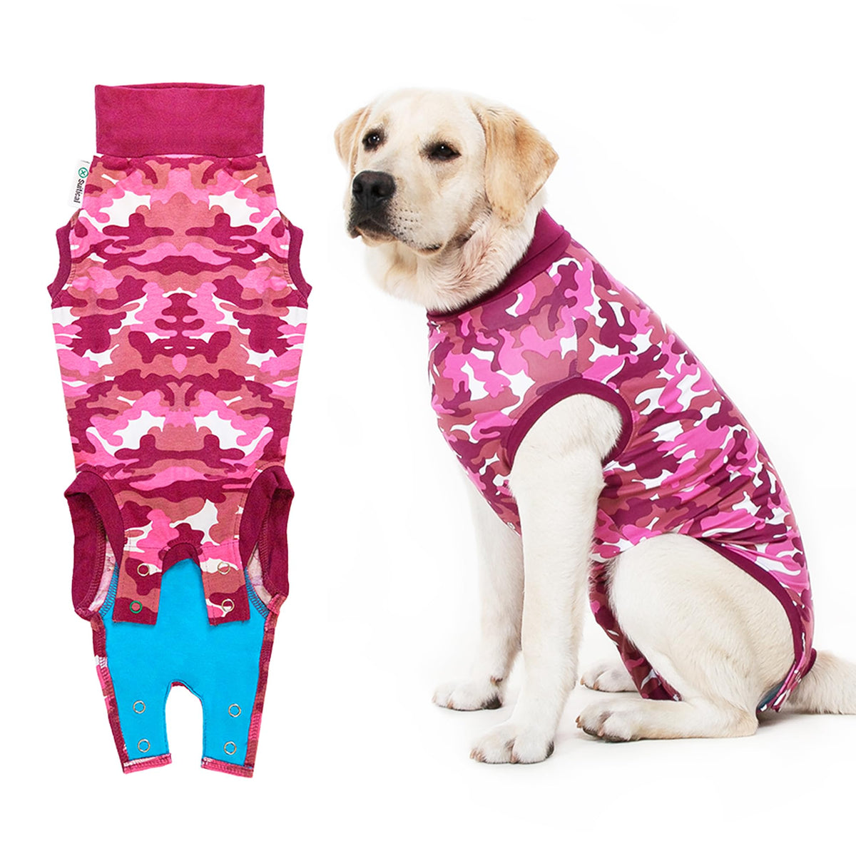 Suitical Recovery Suit on a dog neck-to-tail fit supports post-surgery comfort