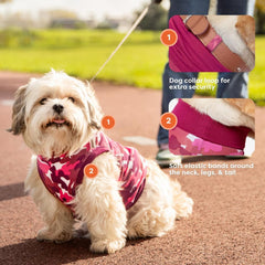 Dog wearing Suitical Recovery Suit with snaps at tail for walks