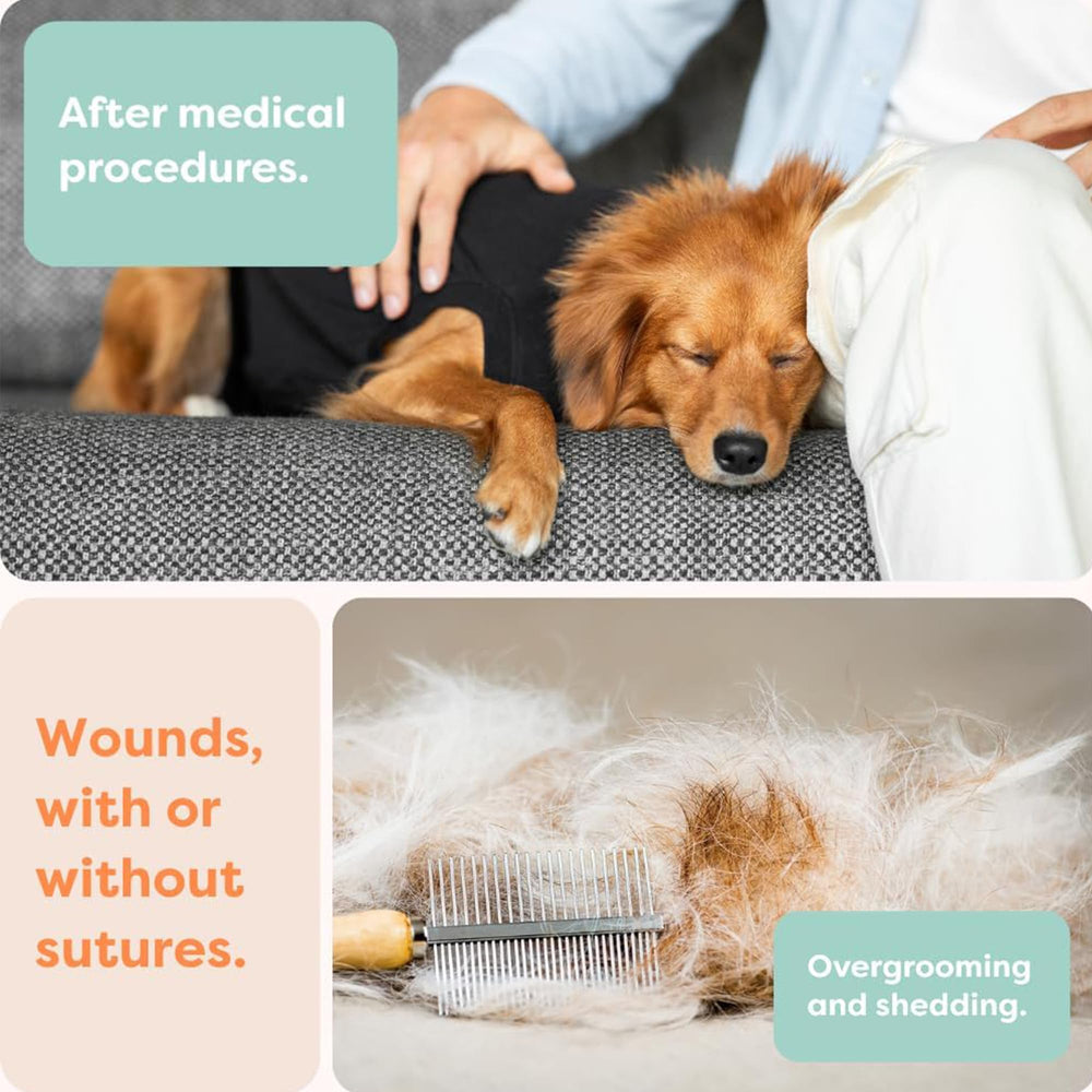 Suitical Recovery Suit designed with veterinarian input for patient-friendly care.