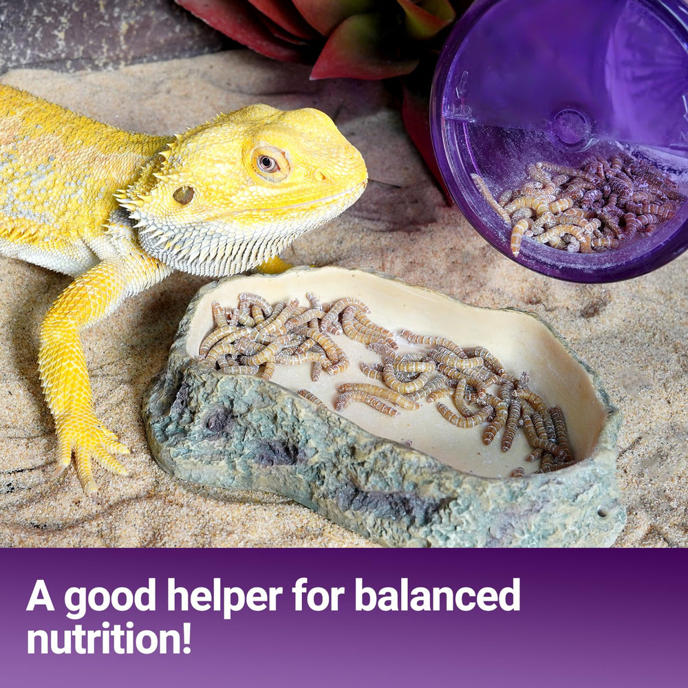 SUKEOPET anti-escape cover keeps crickets contained during feeding