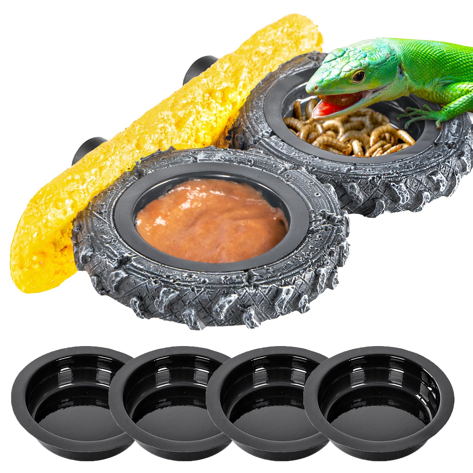 SUKEOPET Gecko Gecko Feeder Ledge magnetic base secures feeding in tanks